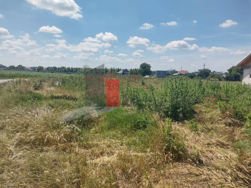 Dobreni Giurgiu vanzare 2 loturi de casa