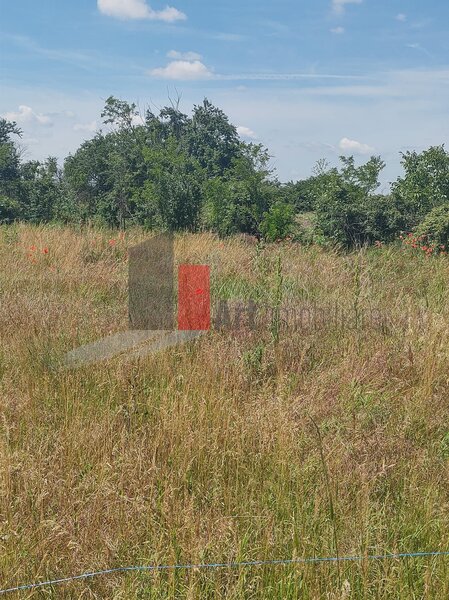Dobreni Giurgiu vanzare 2 loturi de casa